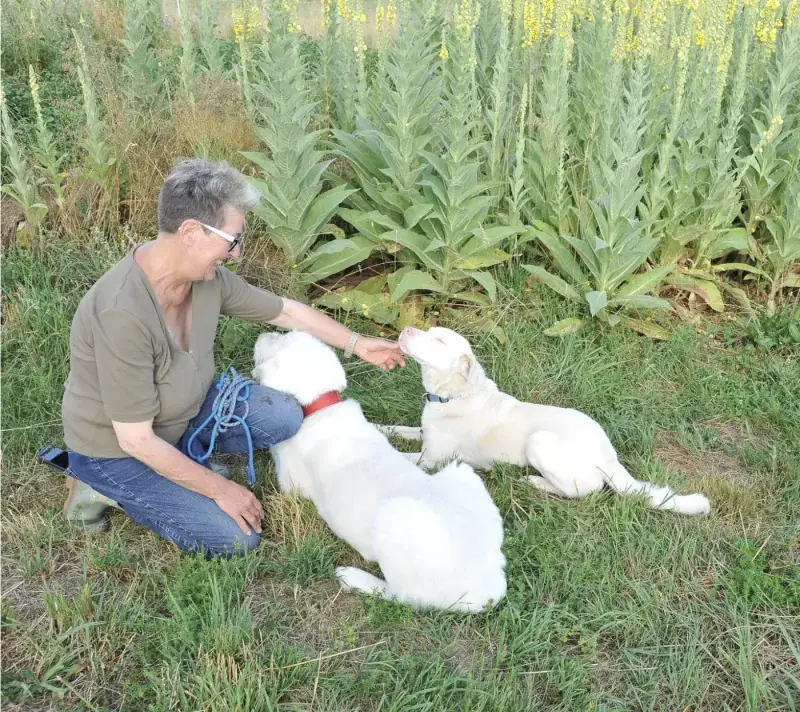 Christiane Schuler mit Therapiehunden