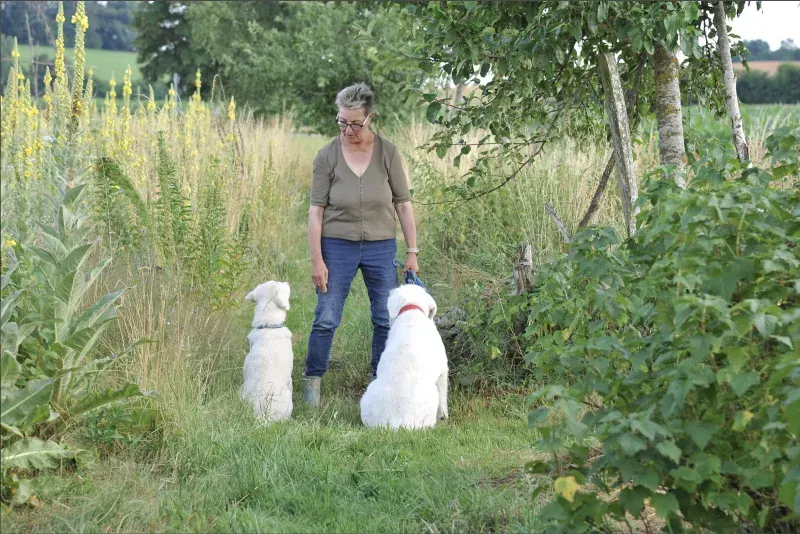 Christiane Schuler mit ihren Therapiehunden auf dem Scheuerleshof